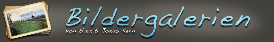 Bildergalerien von Jonas Kern